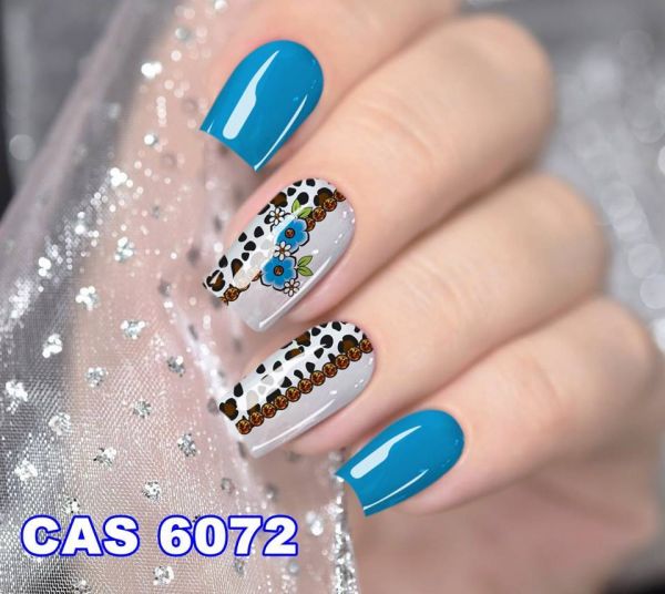 CAS6072